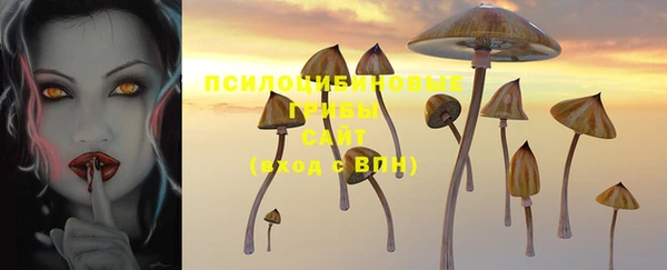 mdpv Алзамай