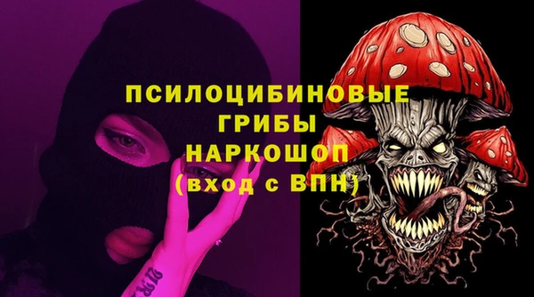 не бодяженный Алексин