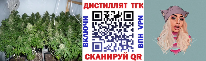 Дистиллят ТГК Wax  Купить где  Солнечногорск 